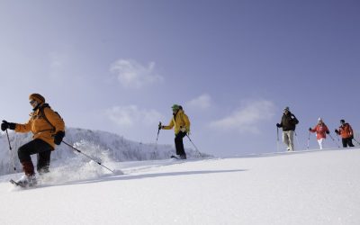 Mittwoch : Gemütliche Schneeschuhwanderung für Einsteiger zum Gipfel des Hündlekopfs