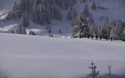 Schneeschuhtour mit Hüttenübernachtung im Imberggebiet