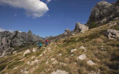 VAUDE Bike & E-Bike Camp 2023 in Oberndorf / Kitzbüheler Alpen