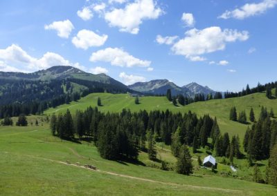 Mittelberg Für Internetseite