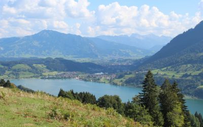 Wandertrilogie – Pfade oberhalb des großen Alpsee