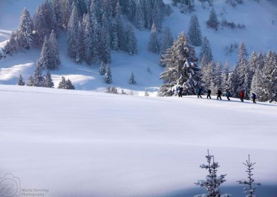 Mittwoch Hündlekopf 1