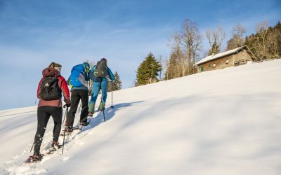 Montag : Gemütliche Schneeschuhtour für Einsteiger am Imberg