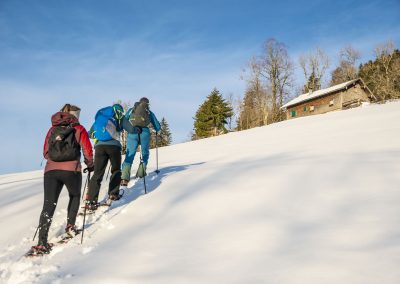 Montag: Gemütliche Schneeschuhtour für Einsteiger am Imberg, mit Einkehr und Pferdeschlittenfahrt