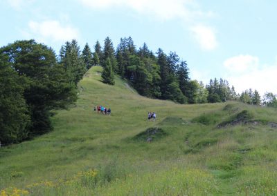 Waldwege und Jägersteige