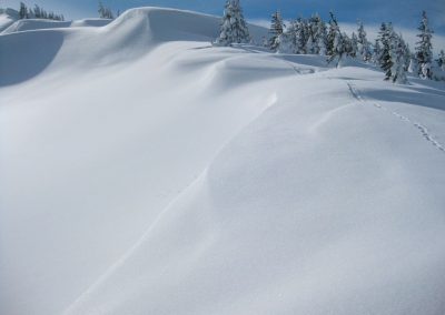 Skitouren Bregenzer Wald Blaicher Horn