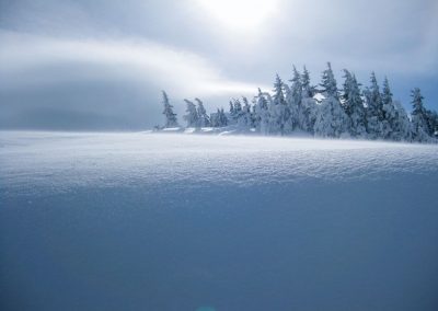 Skitouren Bregenzer Wald Winter